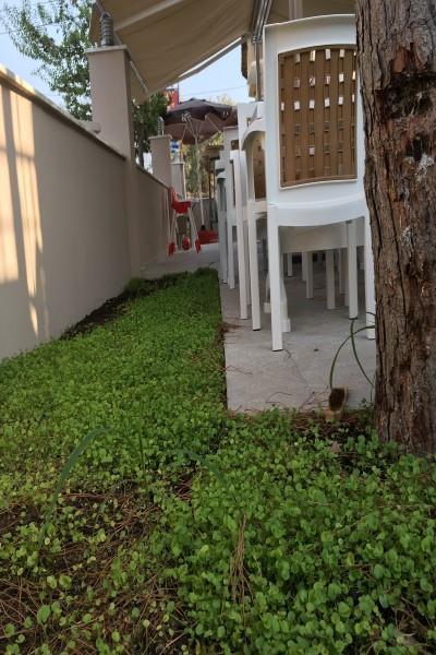 Vira Hotel ดาลยัน ภายนอก รูปภาพ